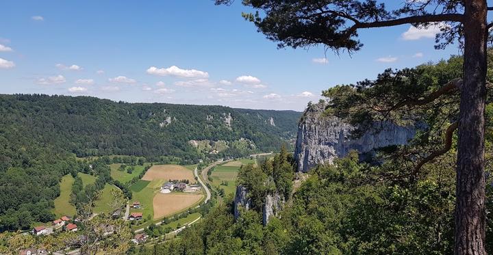 Donautal Touristik Resstaurant Und Bootsvermietung